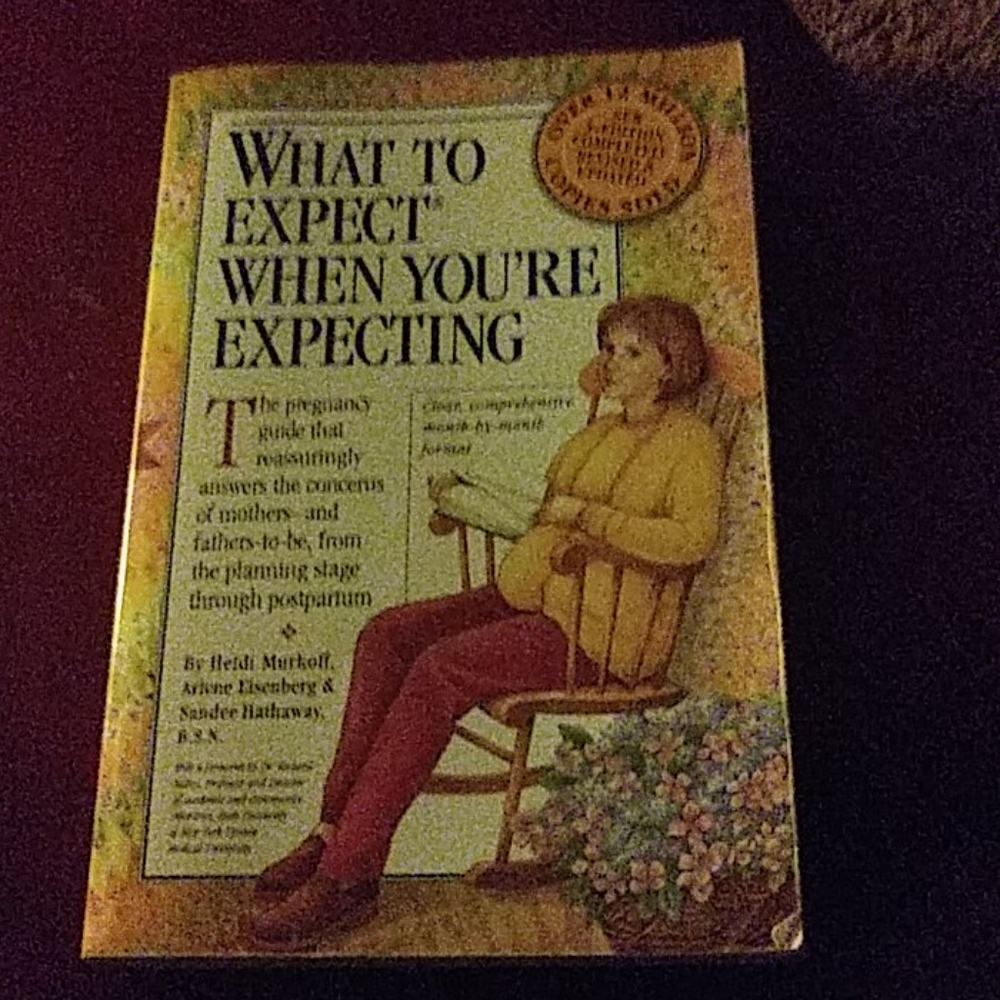 What To expect when your expecting pregnancy book